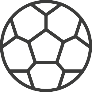 Sport Icon